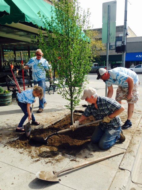 Street Tree Planting